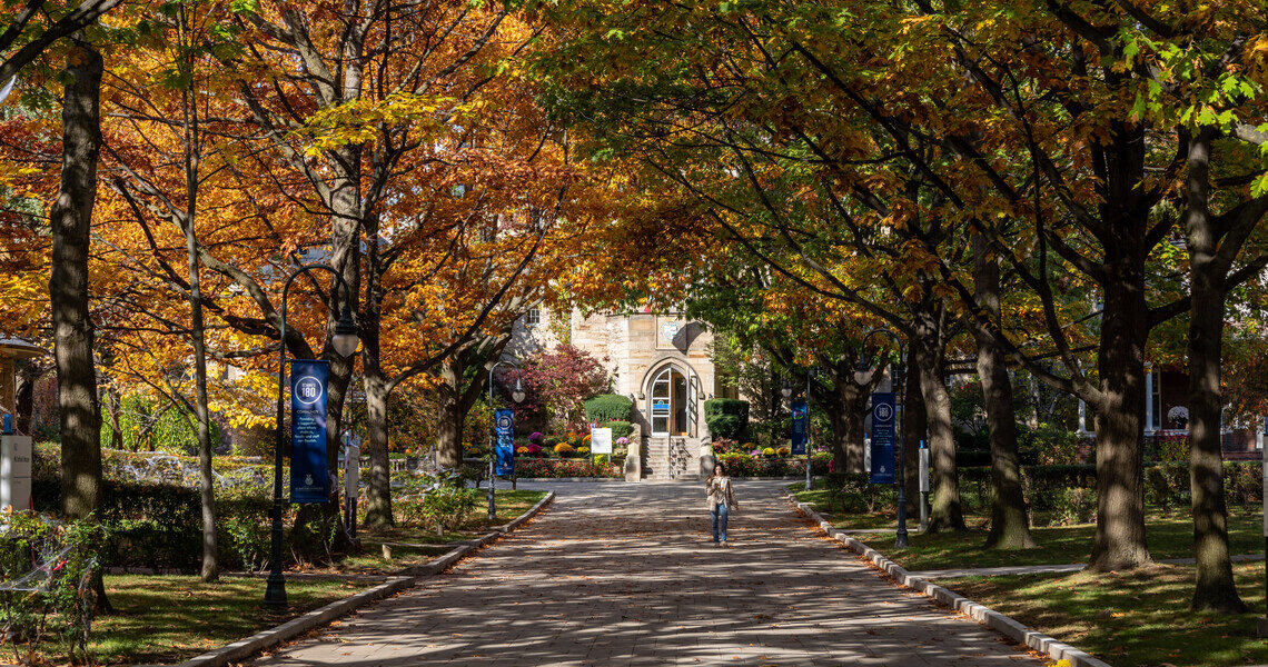 A student walks along the path in front of St Mike's College surrounded by trees in the fall